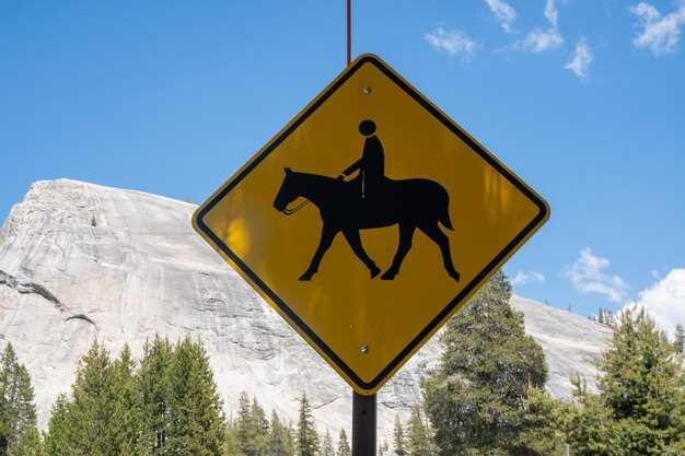 Maintaining Proper Formation in Group Rides