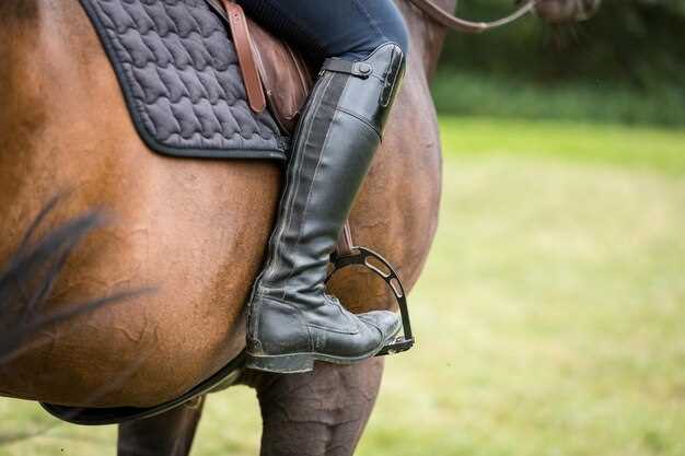 Analyzing Features That Minimize Injury Risk