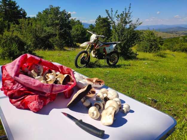 Packing Techniques for Efficient Motorcycle Carrying